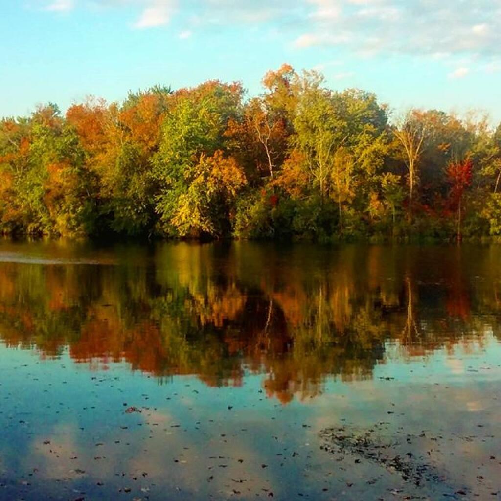 Photo: Reflections