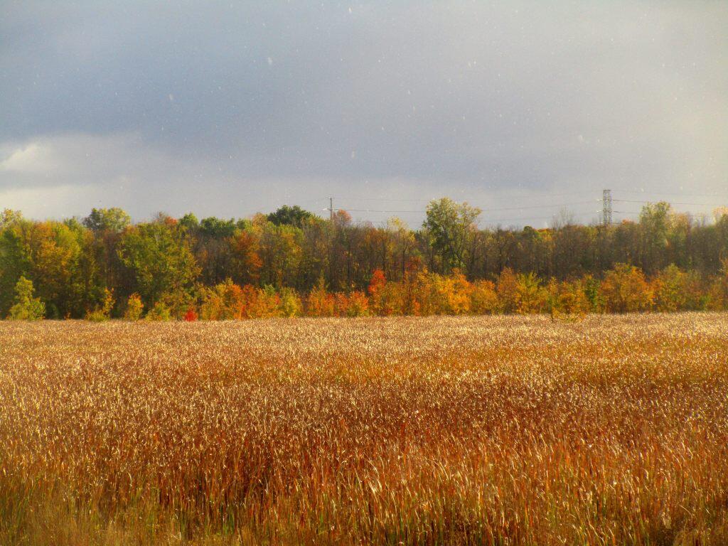Photo: Autumn