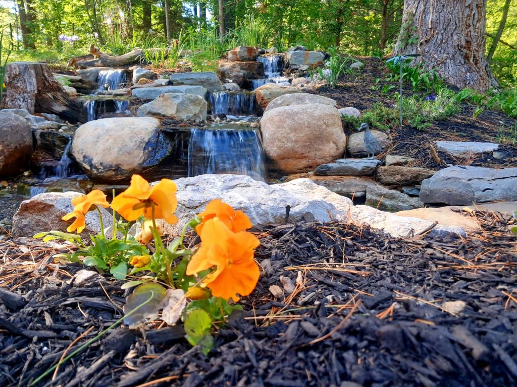 Photo: Waterfall [Expires May 30 2026]