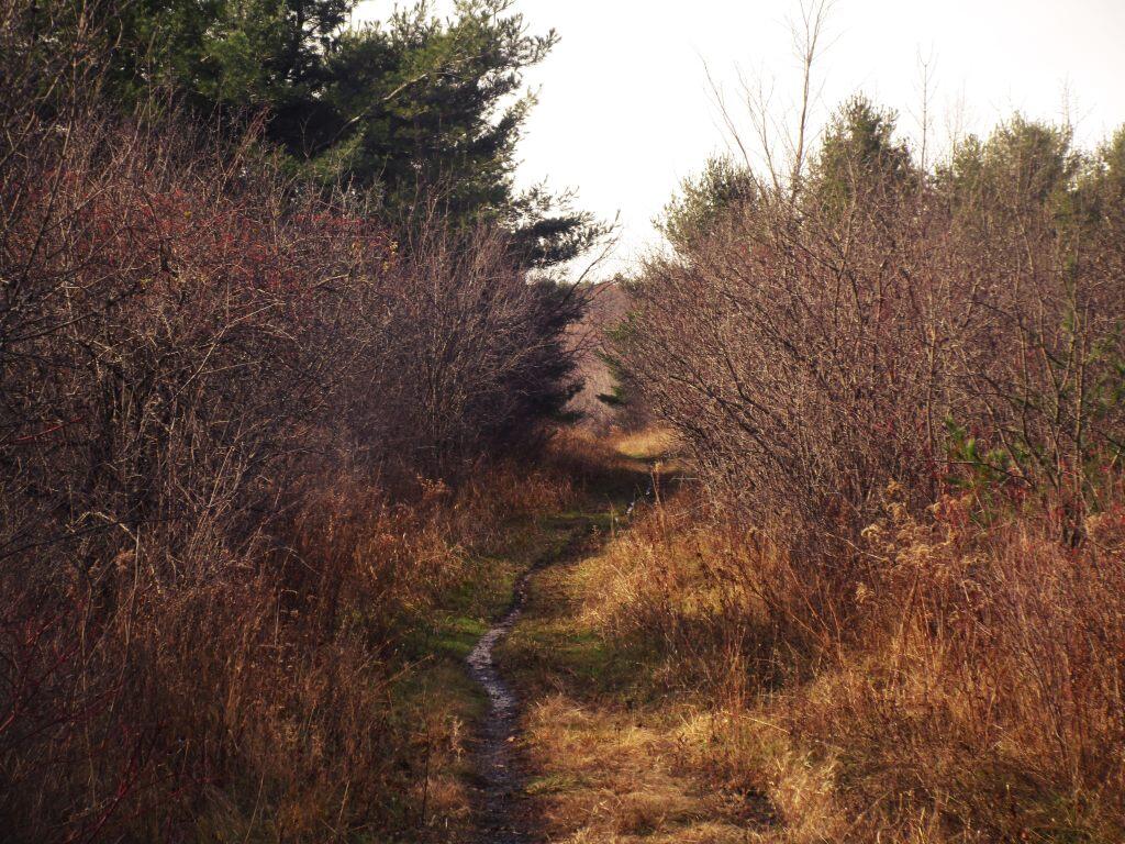 Photo: Muddy At Thacher Park
