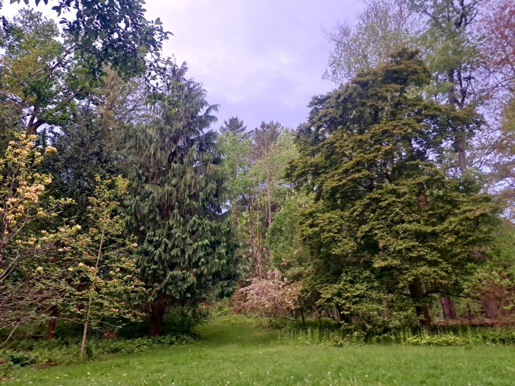 Photo: Before the rain [Expires May 30 2026]