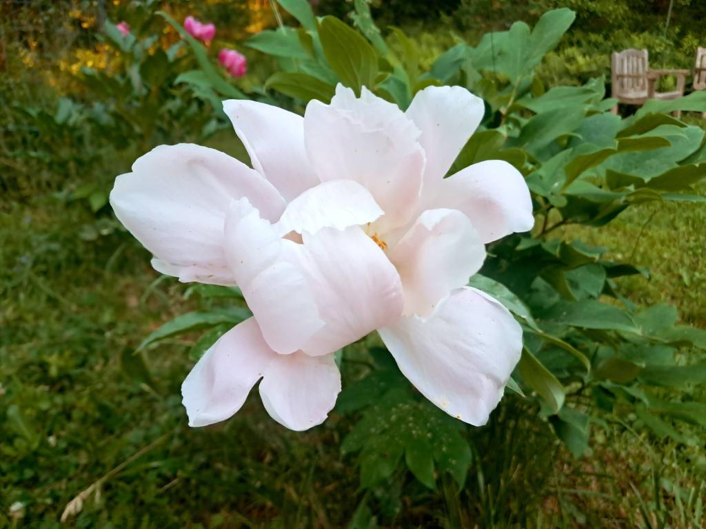 Photo: Untitled [Expires June 23 2026]