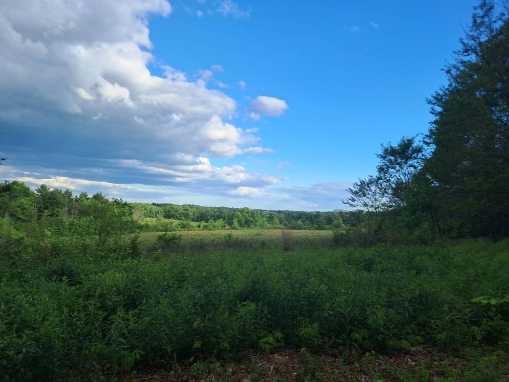 Photo: Cool evening [Expires June 11 2026]