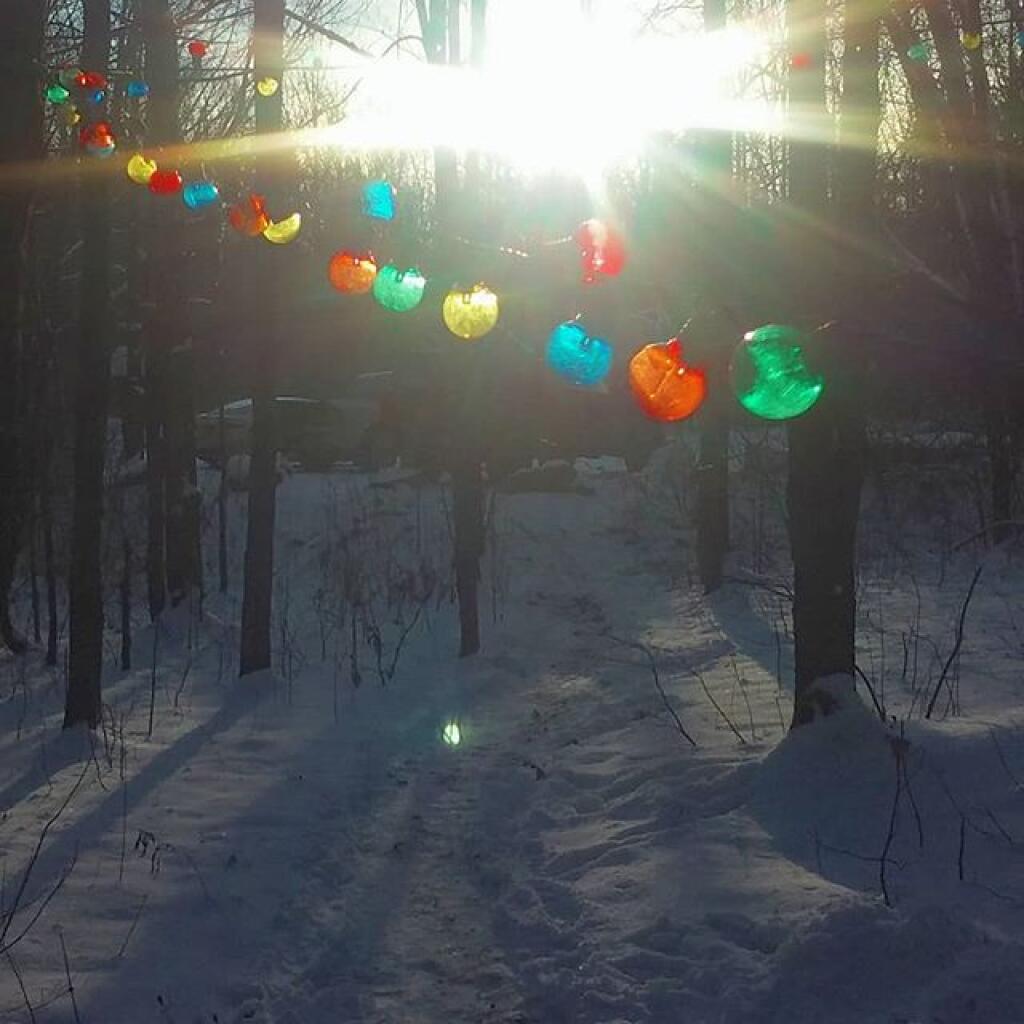 Photo: Morning