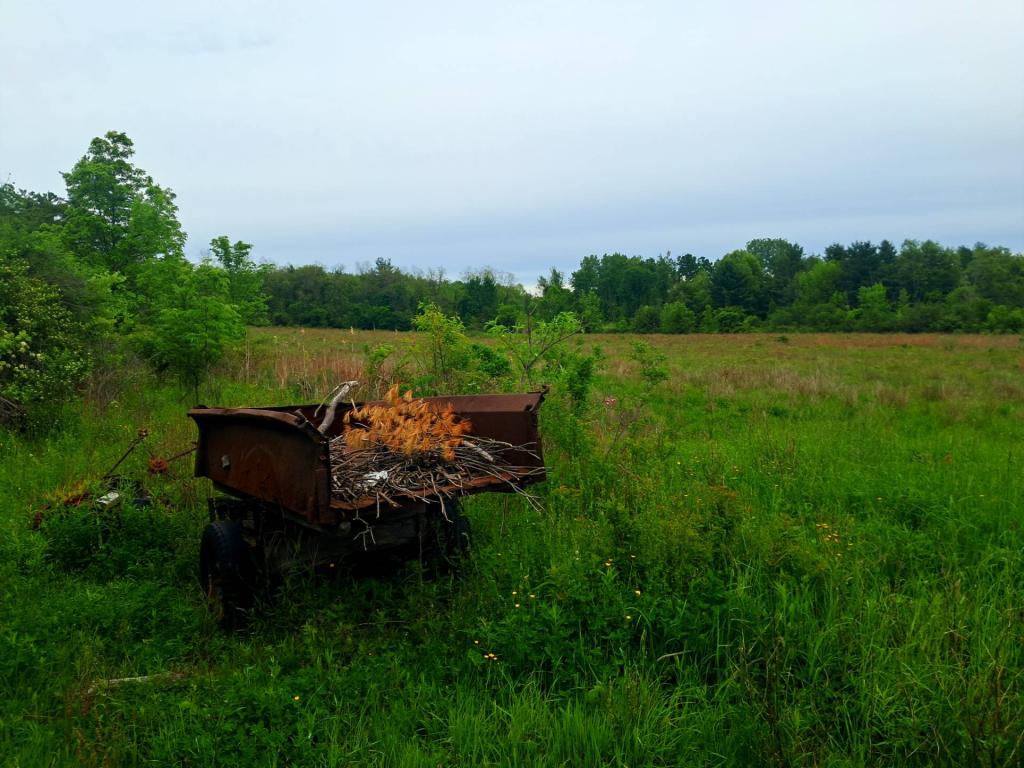 Photo: Old Truck Bed [Expires June 6 2026]
