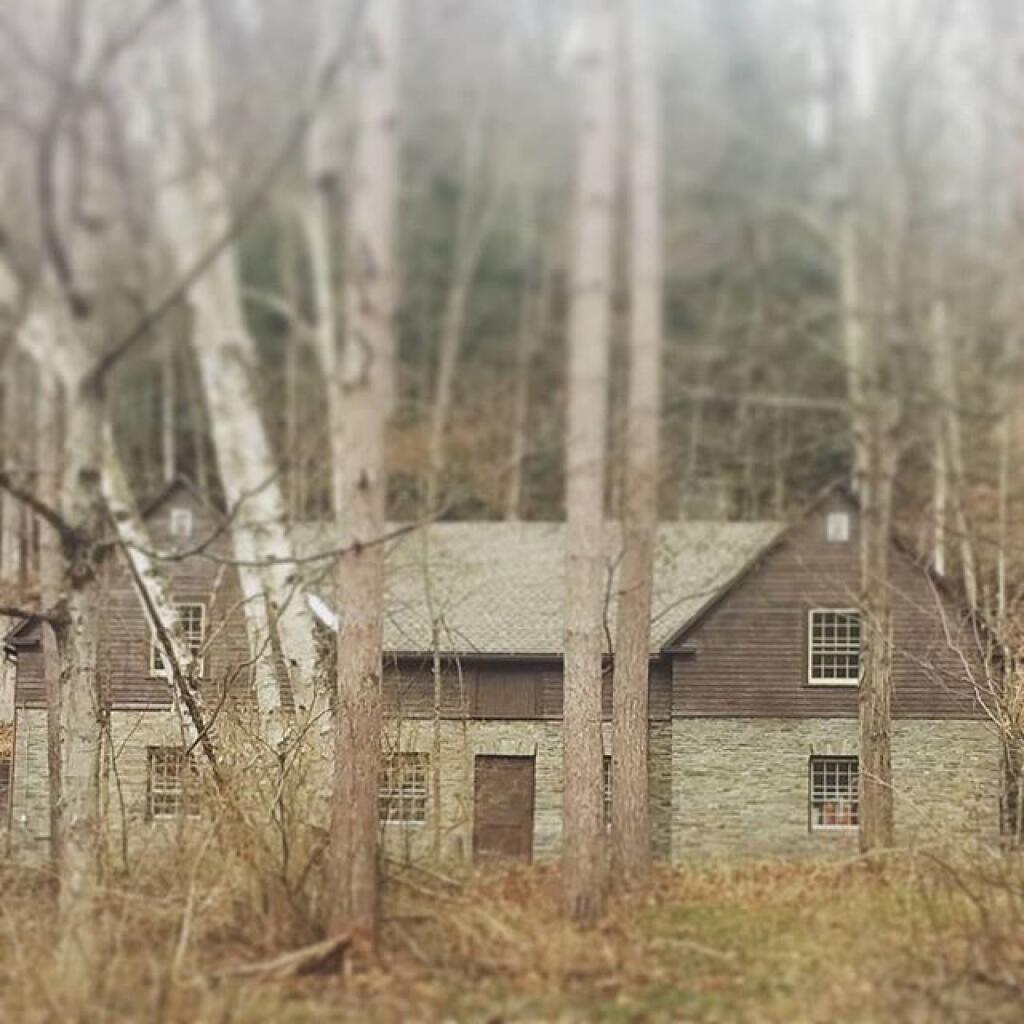 Photo: Budd House