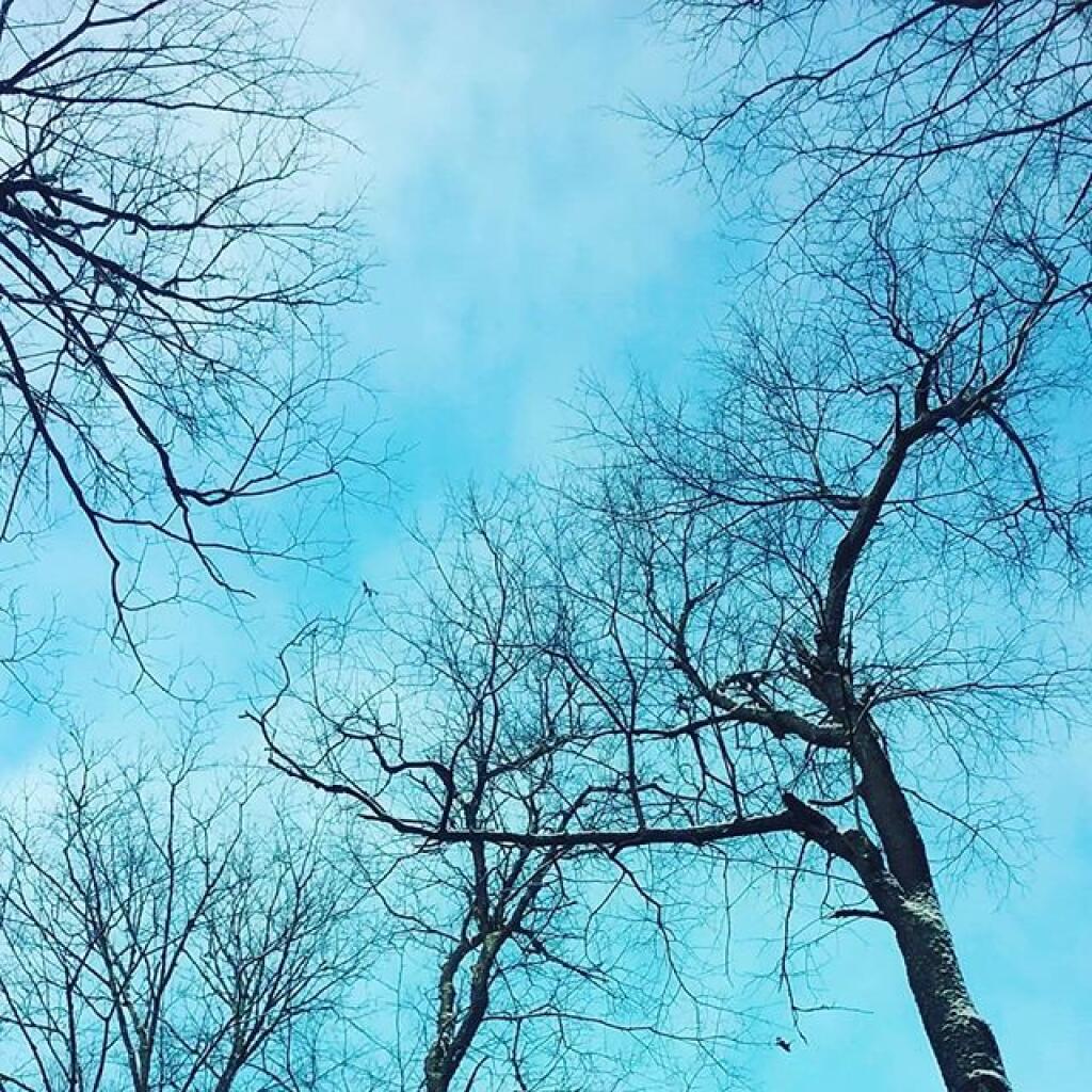 Photo: Blue sky