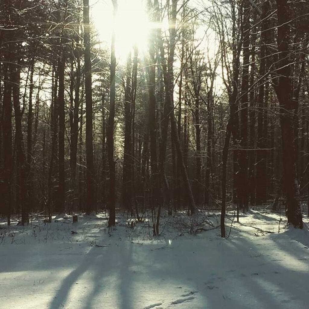 Photo: Sun