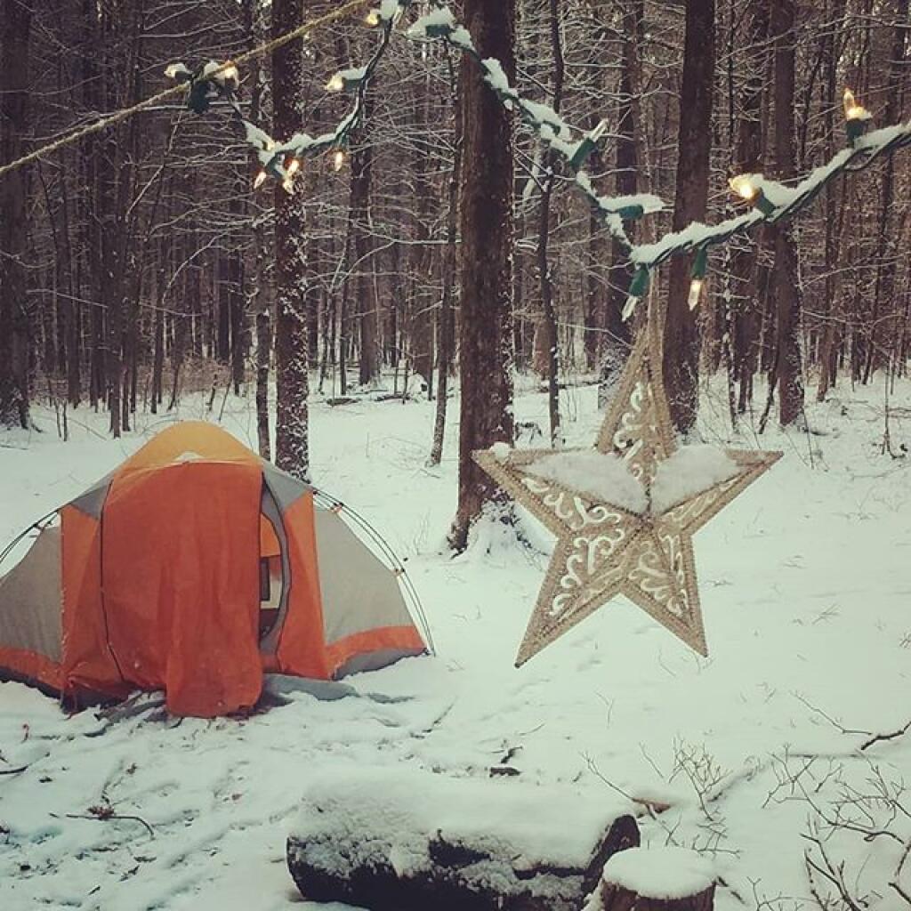 Photo: Fresh snow