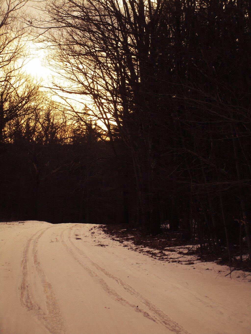 Photo: Tracks