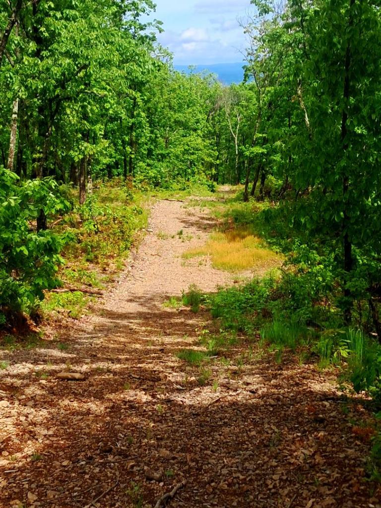 Photo: Into the valley [Expires June 8 2026]