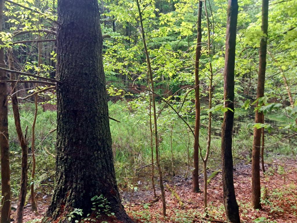 Photo: Untitled