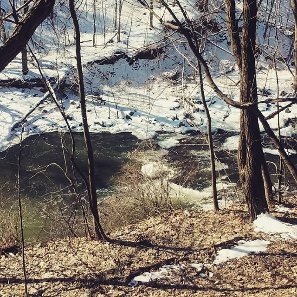 Photo: Partially thawed