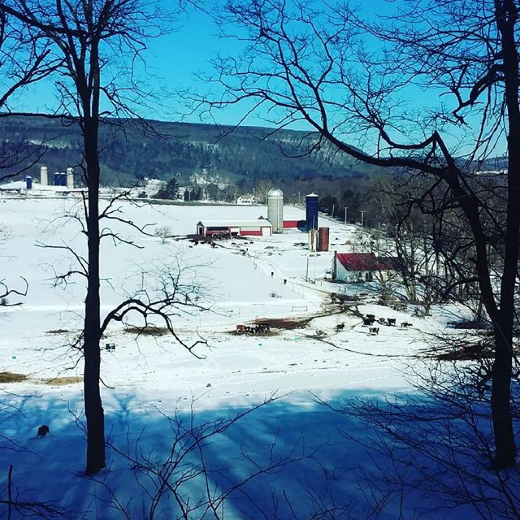 Photo: Cold but sunny