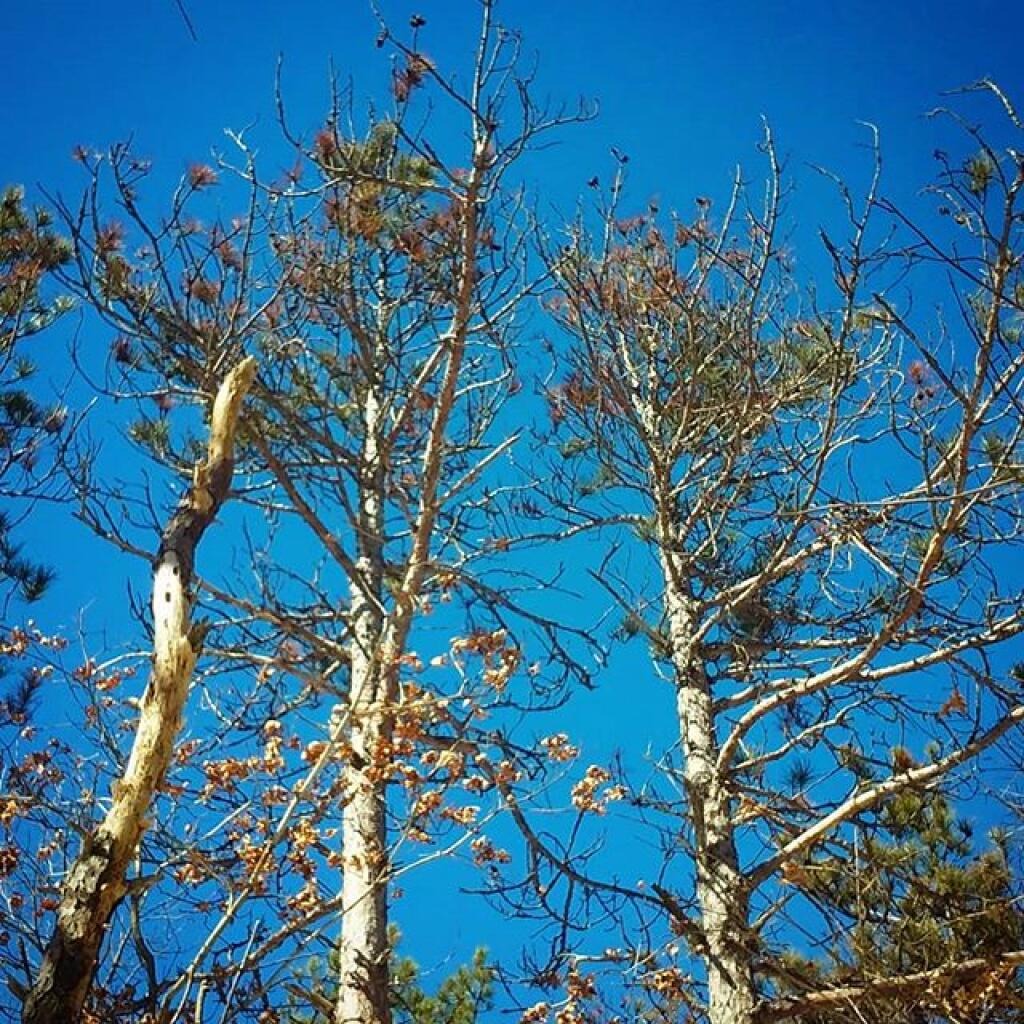 Photo: Deep blue