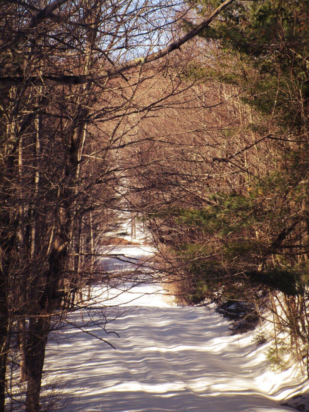 Photo: Cutting My Own Path