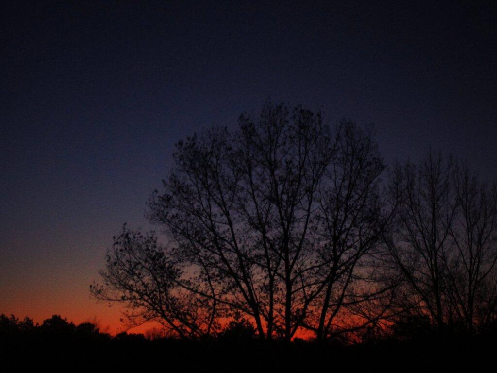 Photo: The End