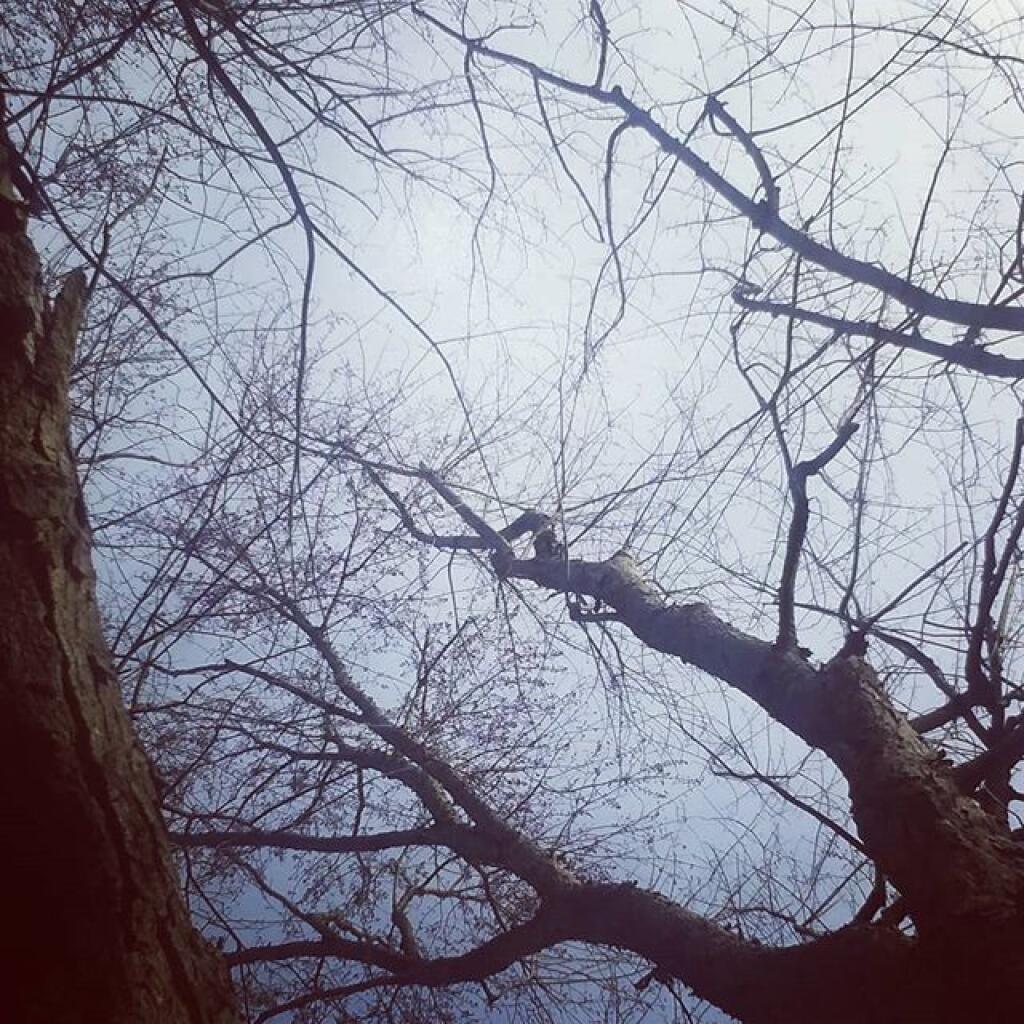 Photo: Hammock View