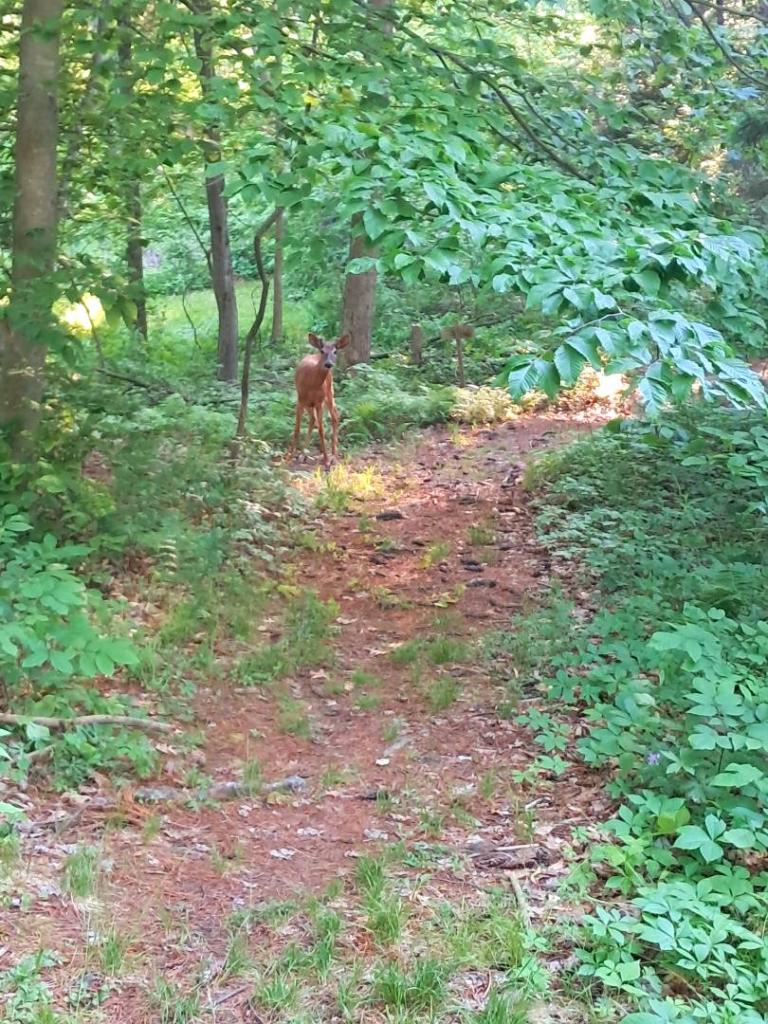Photo: Spike Buck [Expires June 13 2026]