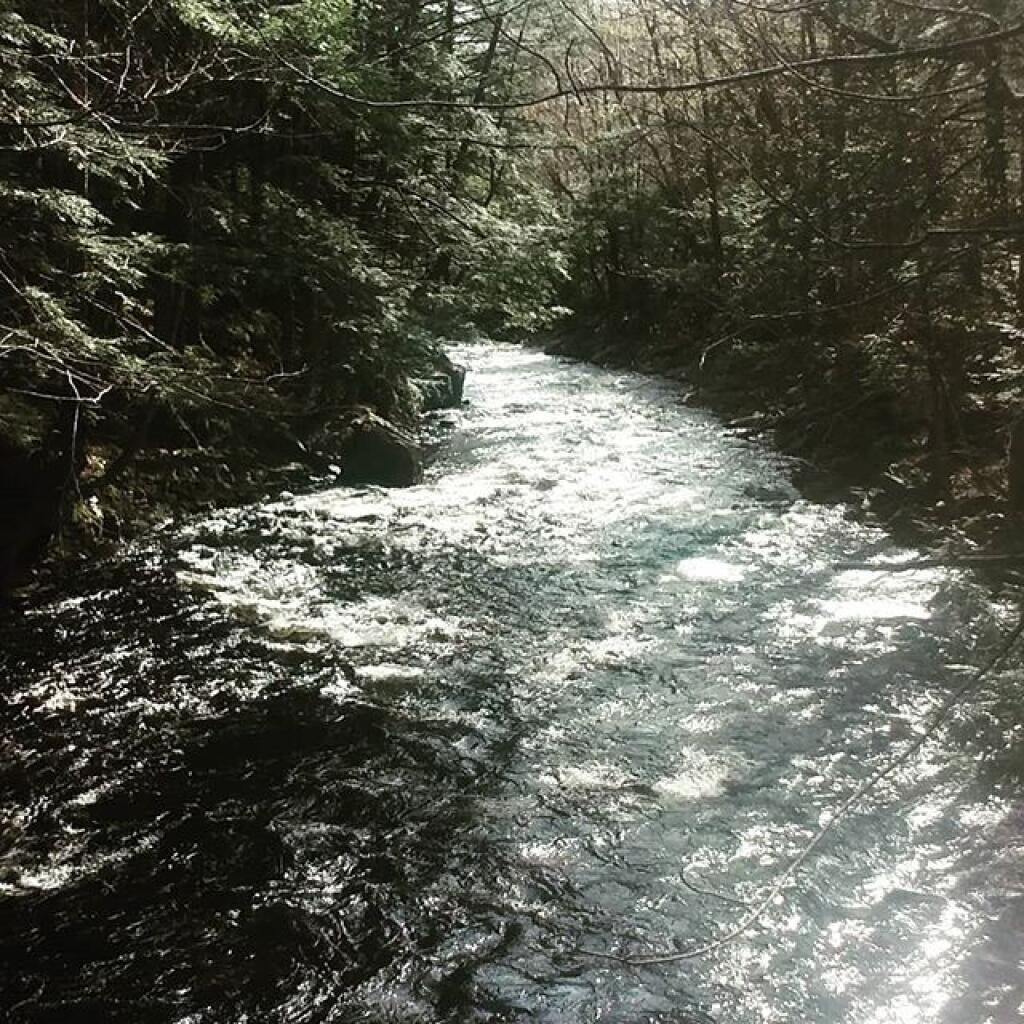 Photo: Middle Sprite Creek