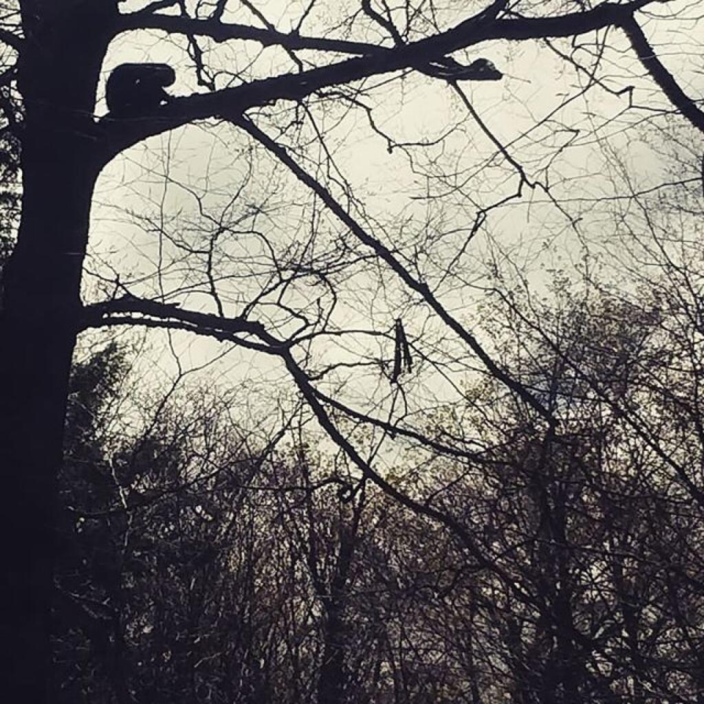 Photo: I bet he has a good view