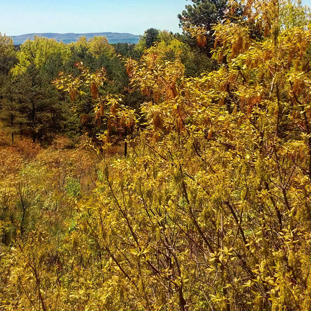 Photo: Absolutely beautiful day