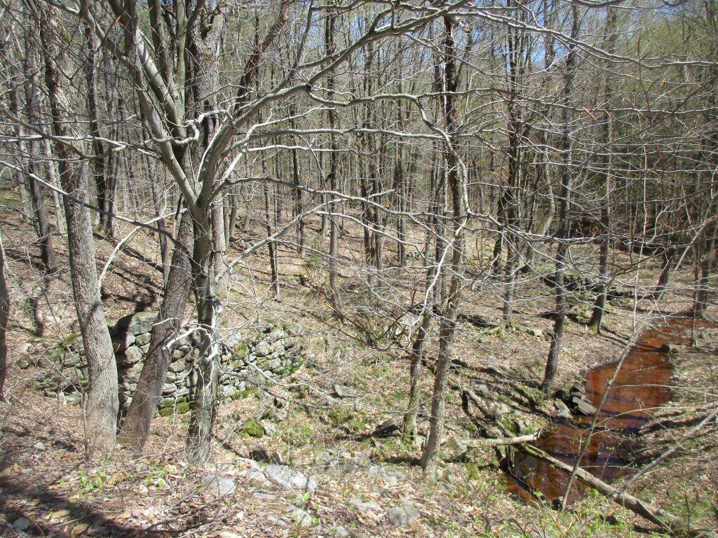 Photo: Glassgow Mill Ruins