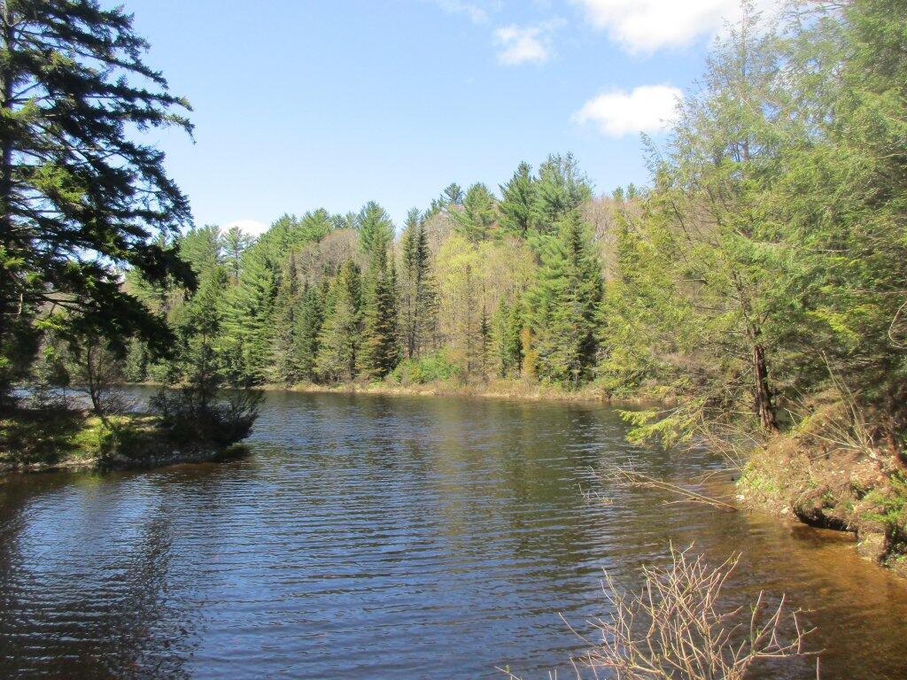 Photo: Glassgow Pond