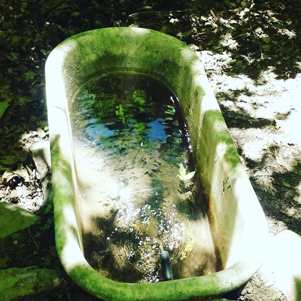 Photo: Ready for a Bath?