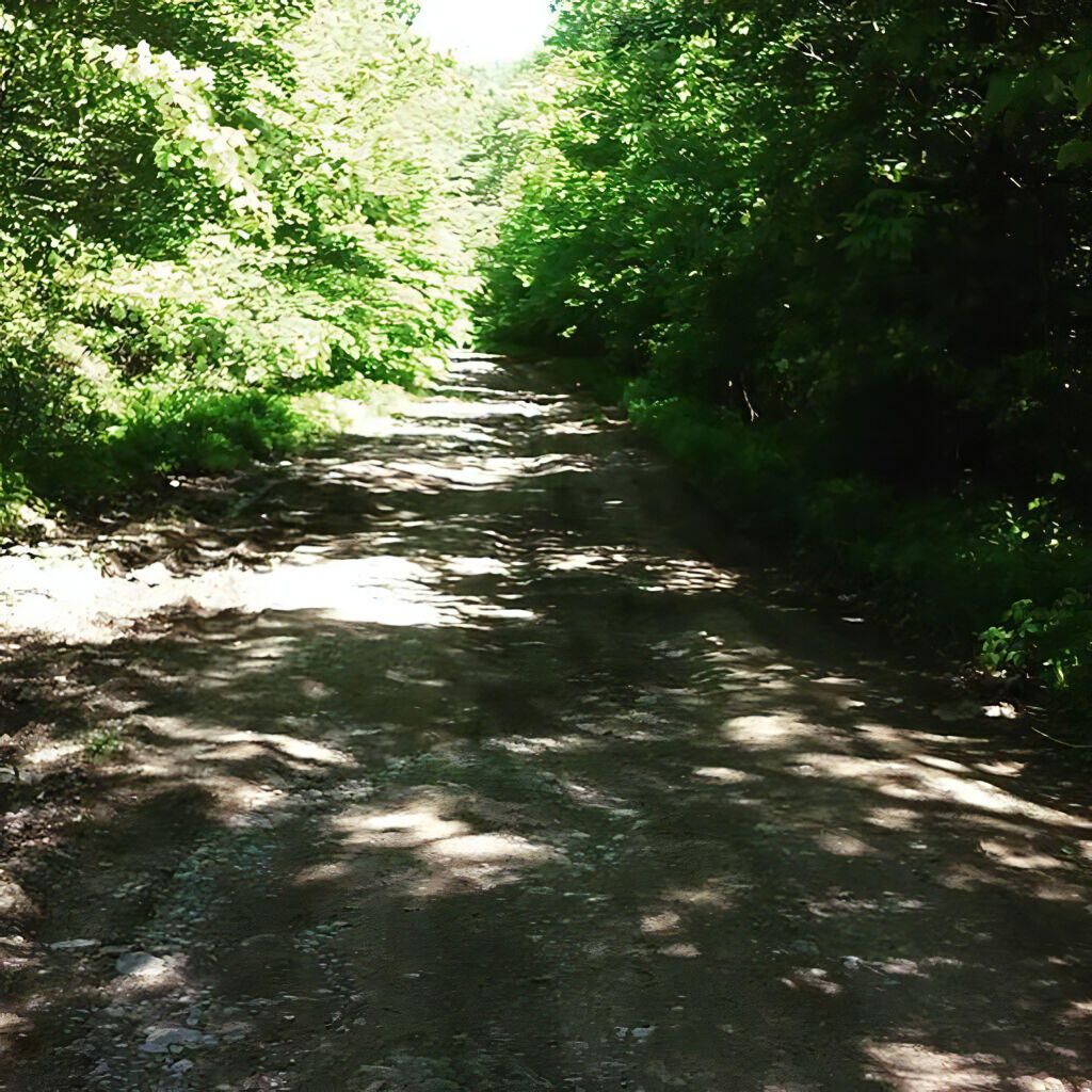 Photo: Duck Pond Road, smooth as a Coors beer or cheap whisky going down