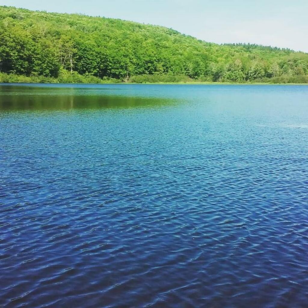 Photo: Beautiful morning at Fawn Lake