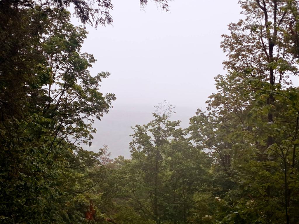 Photo: Rain and Fog at the overlook [Expires June 21 2026]