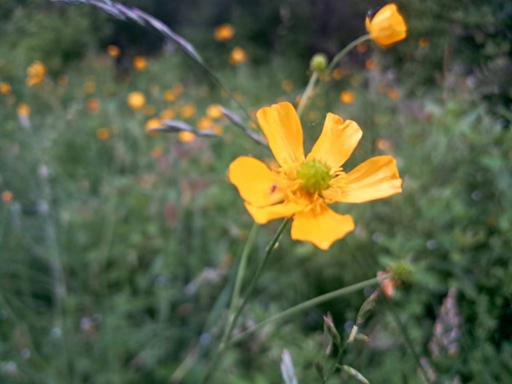 Photo: Untitled [Expires June 19 2026]