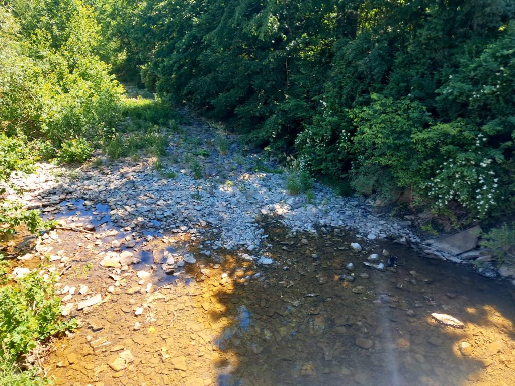 Photo: Creek [Expires June 27 2026]