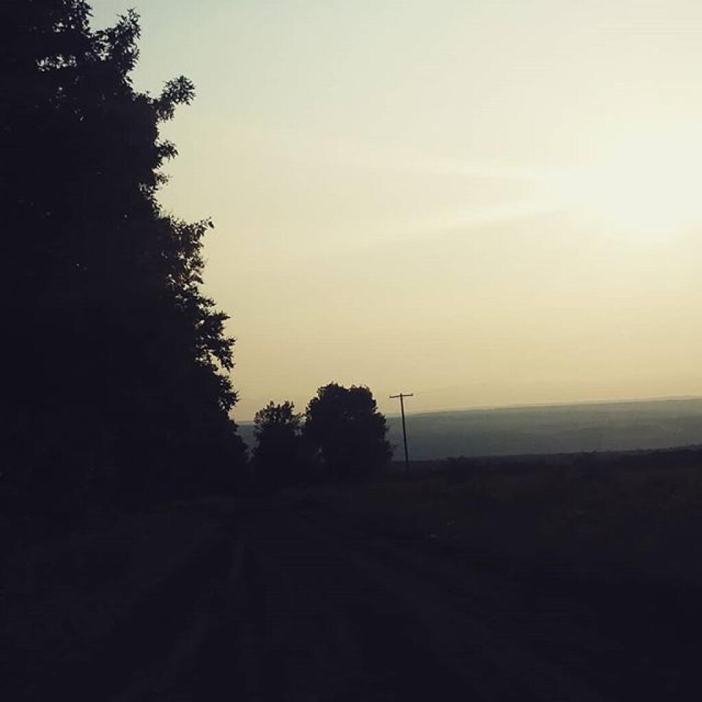 Photo: Summer evening