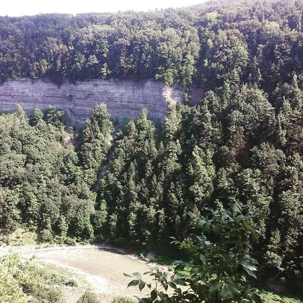 Photo: Below