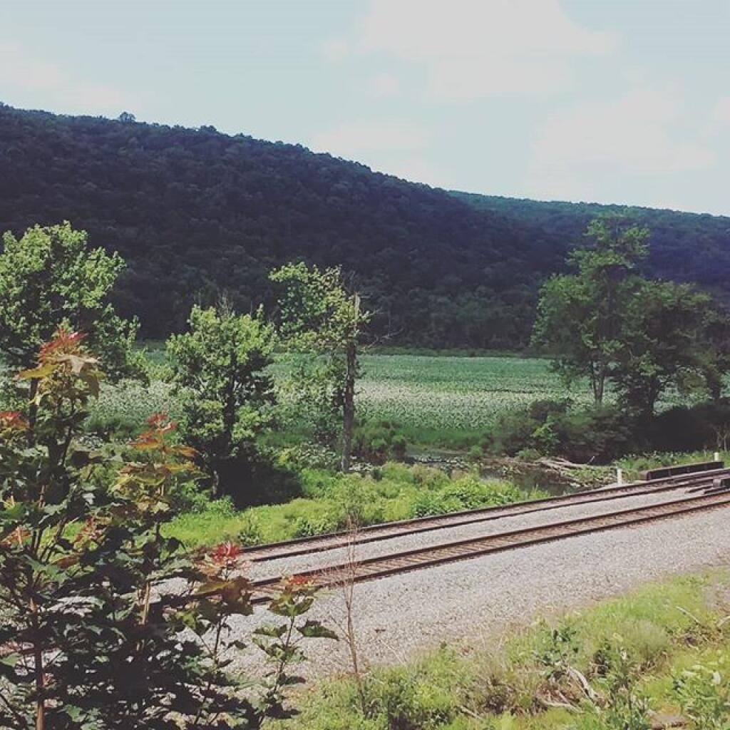 Photo: Headwaters of the Canasserga Creek