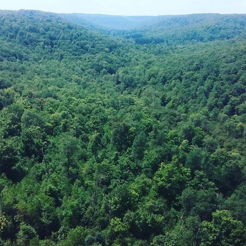 Photo: Kinzua Gorge