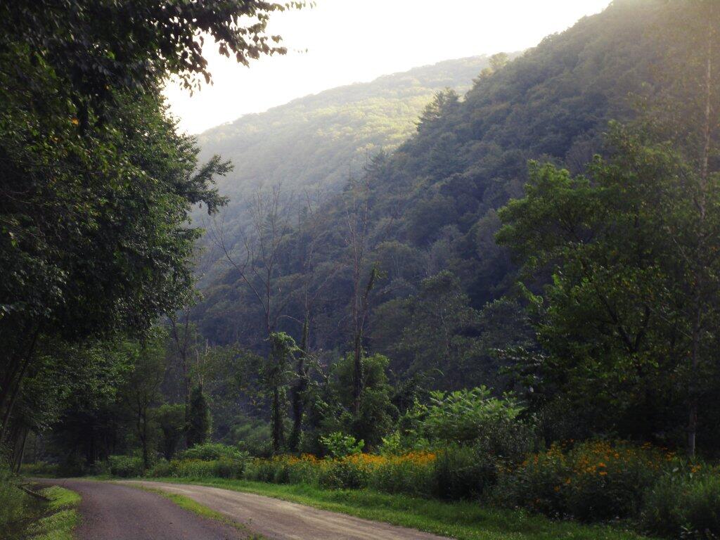 Photo: Evening In The Pine Creek Gorge Photo: Evening In The Pine Creek Gorge