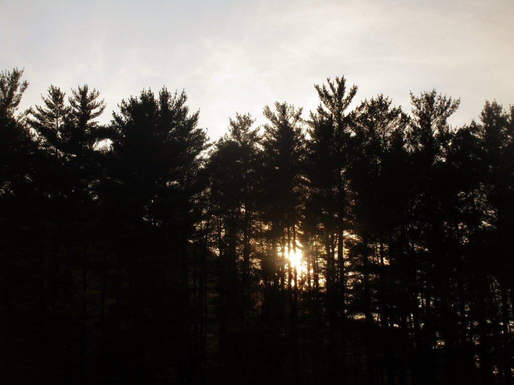 Photo: Darkness Approaches Photo: Darkness Approaches