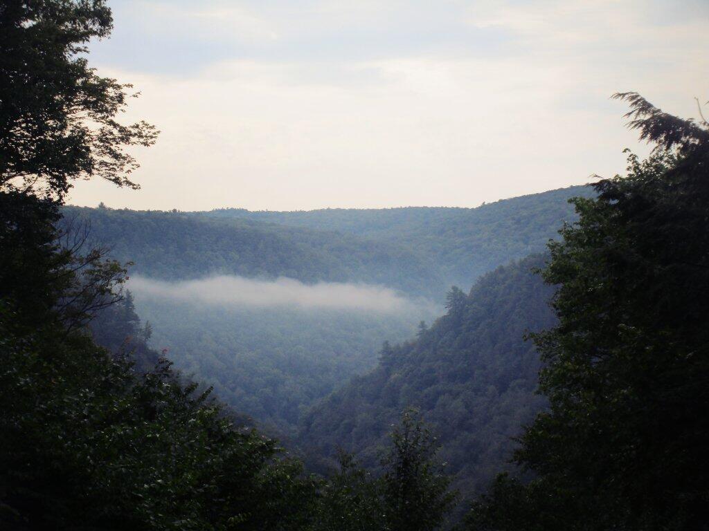 Photo: Morning Fog