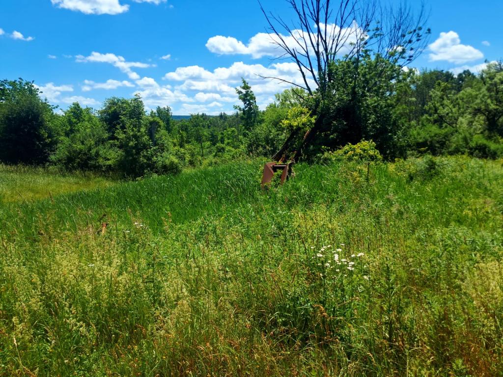 Photo: Untitled [Expires June 27 2026]