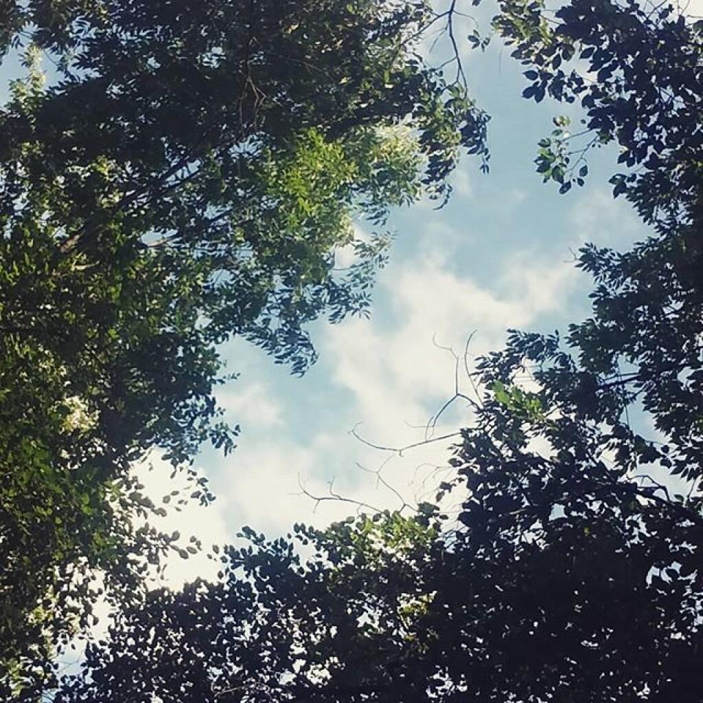 Photo: Clouds varied a lot
