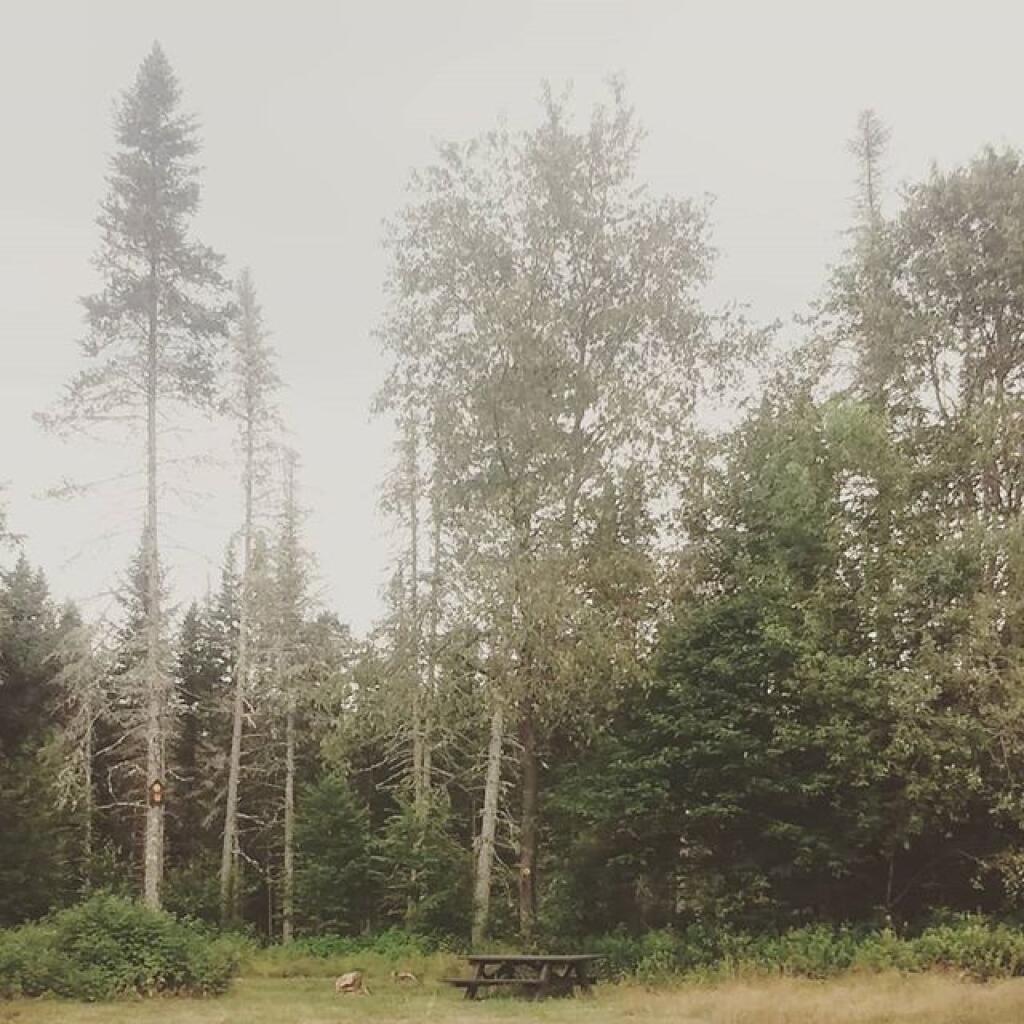 Photo: Select sites at Pisceo Powley Road now have picnic tables