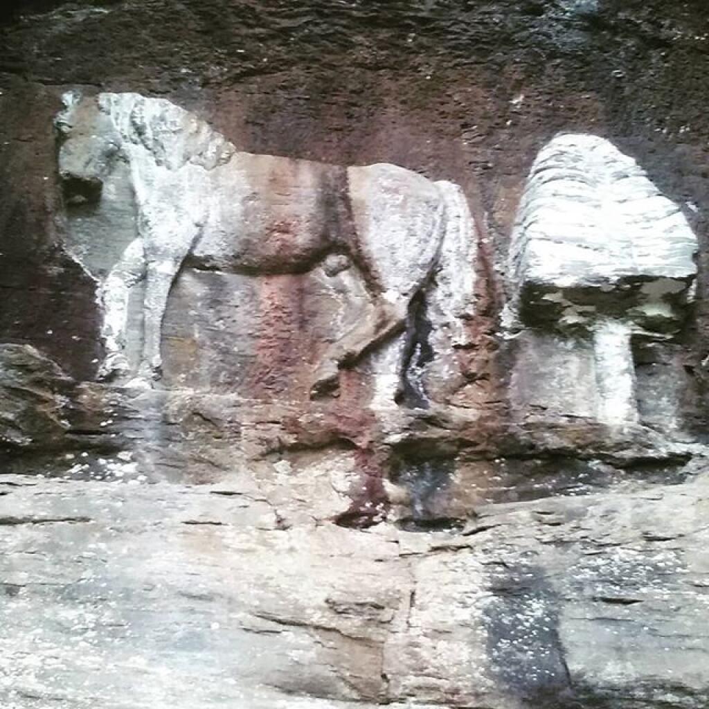 Photo: Horse