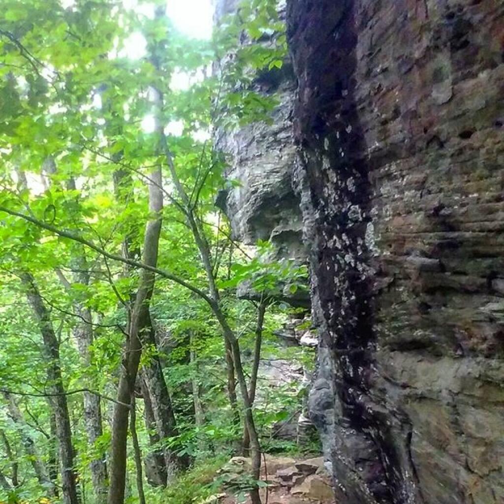 Photo: Under the ledge