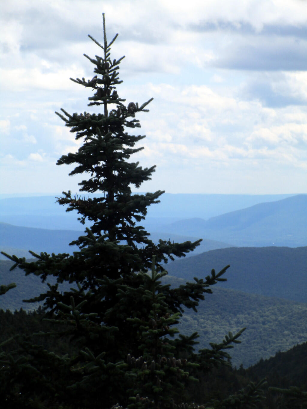 Photo: South From The Overlook