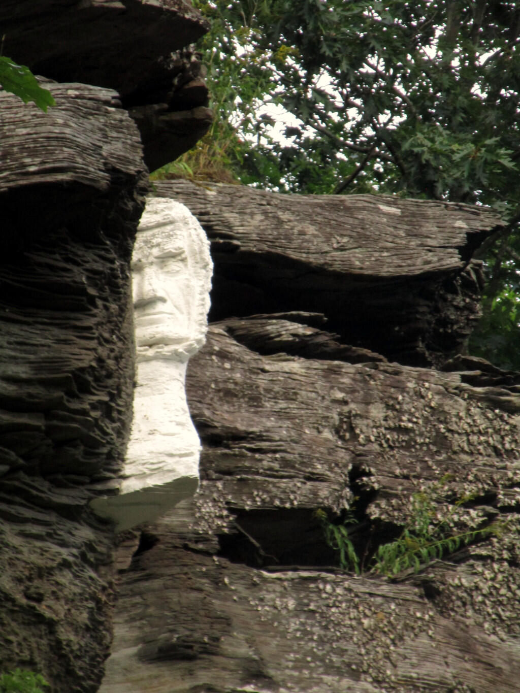 Photo: Mr. Pratt Keeps A Watchful Eye