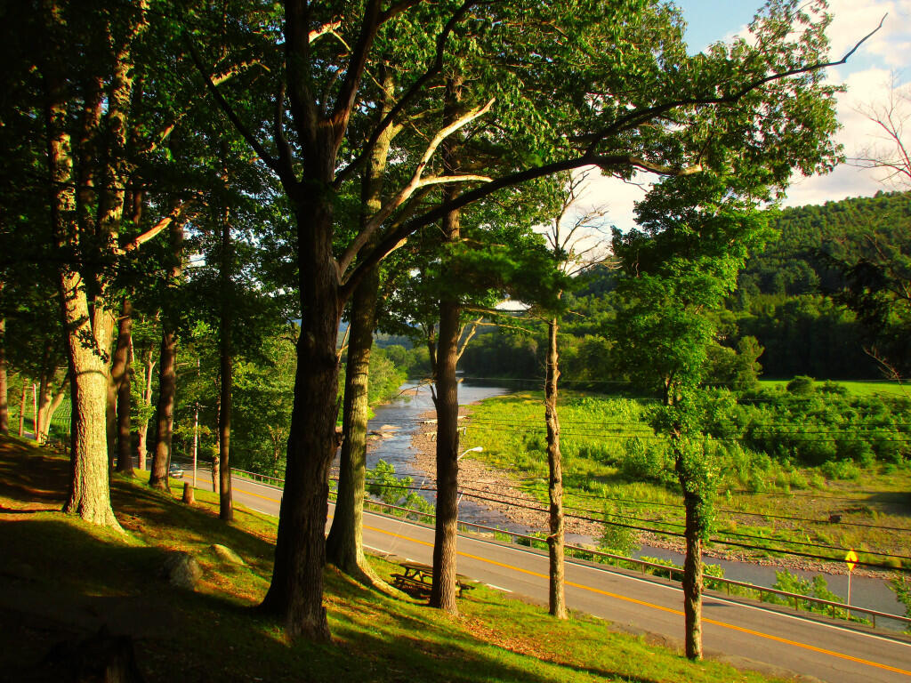 Photo: Picnic Area