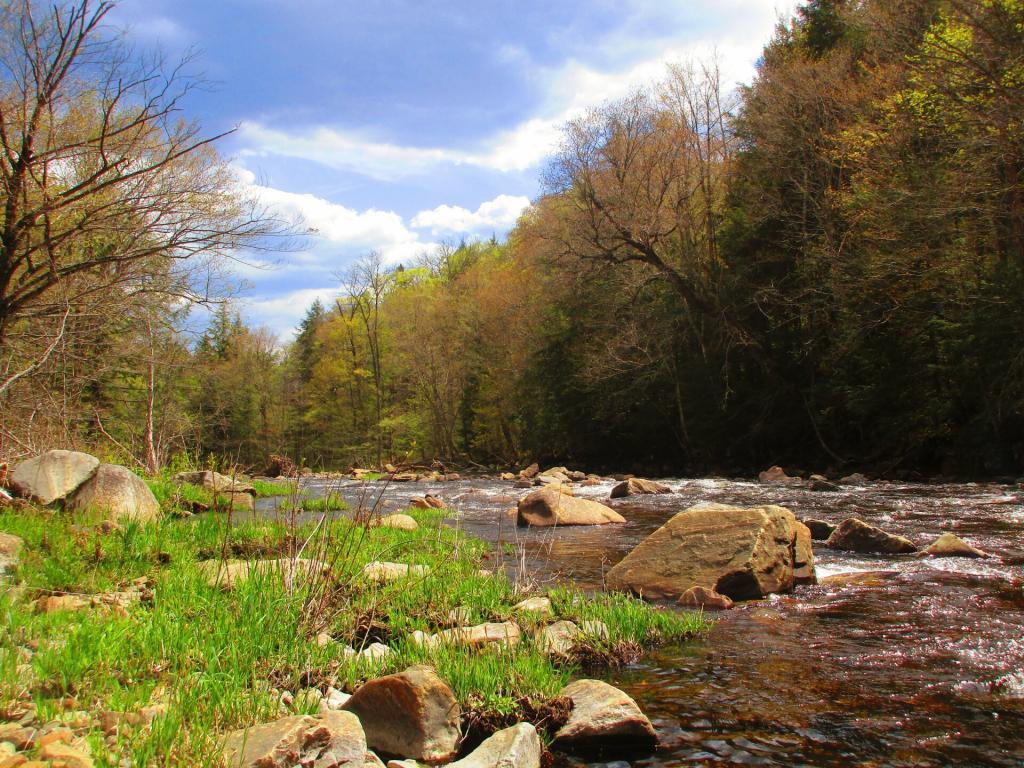 Photo: Sacandaga River below Austin Falls